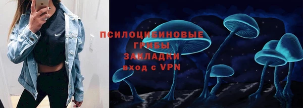 прущая мука Карпинск